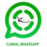 Canal Whatsapp CaminArt
