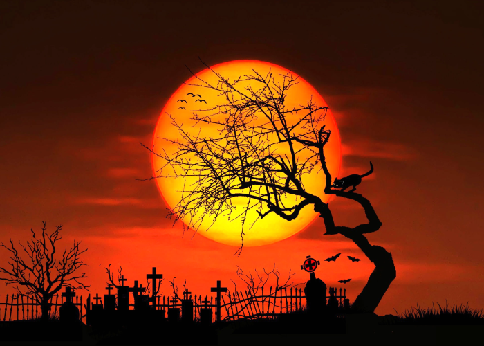 Camins Negres Especial Halloween