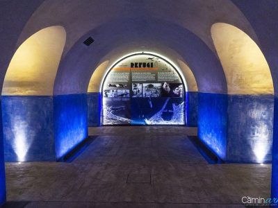 Visita refugio Ayuntamiento