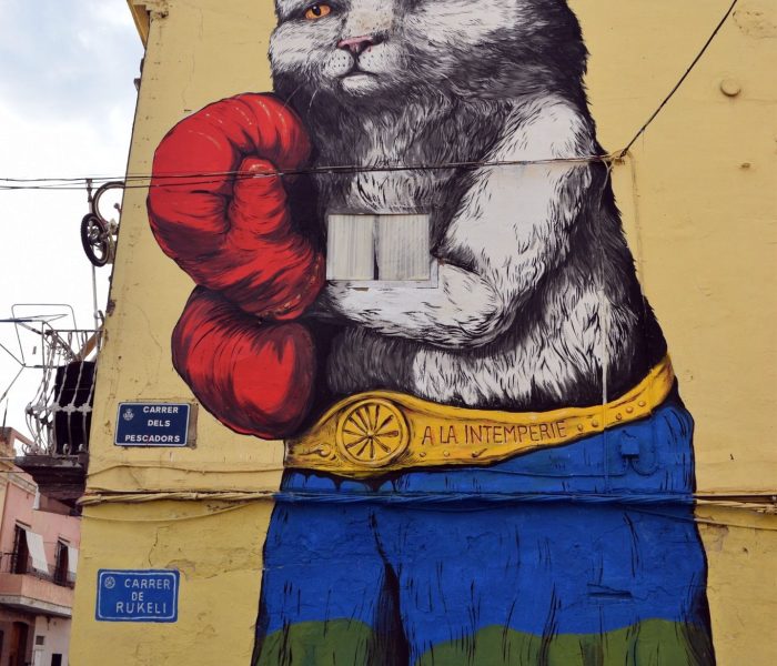 Street Art Tour El Cabanyal-El Canyamelar
